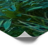 鹿が放牧する1 ポスター (角)