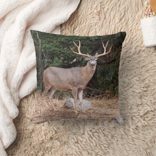 鹿が枕に乗る クッション (ブランケット)