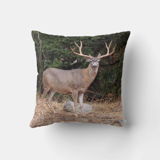 鹿が枕に乗る クッション (裏面)