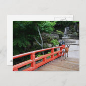 鹿が橋を日本の渡る ポストカード (正面/裏面)