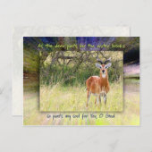 鹿が水のブルックスにズボンを… ポストカード (正面/裏面)