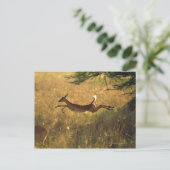 鹿が畑を飛び回った ポストカード (スタンド正面)