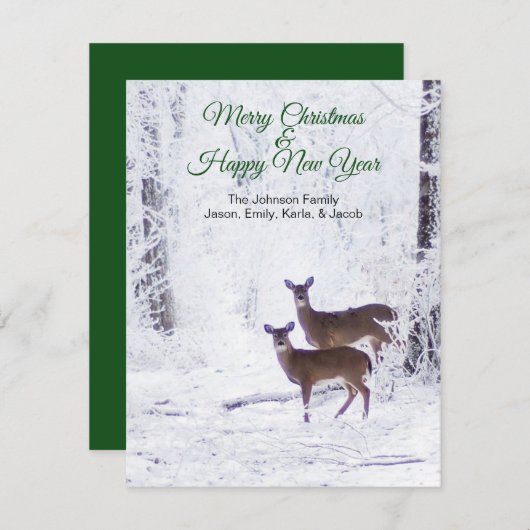 鹿が雪の休日のグリーティングカードに シーズンカード (正面/裏面)
