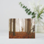 鹿が霧の中にいる ポストカード (スタンド正面)