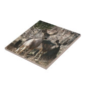 鹿ことわざhello タイル (側面)