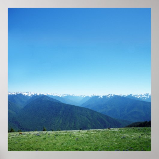 鹿とオリンピック ポスター (正面)