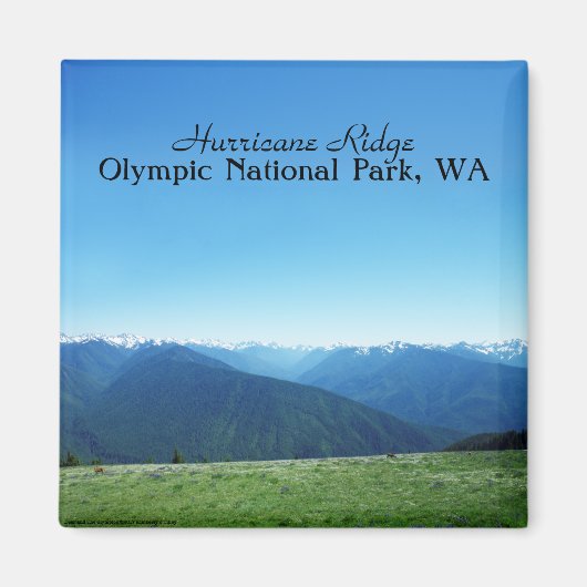 鹿とオリンピック マグネット (正面)