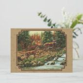 鹿とストリームの滝タン 招待状 (スタンド正面)