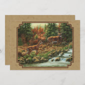 鹿とストリームの滝タン 招待状 (正面/裏面)