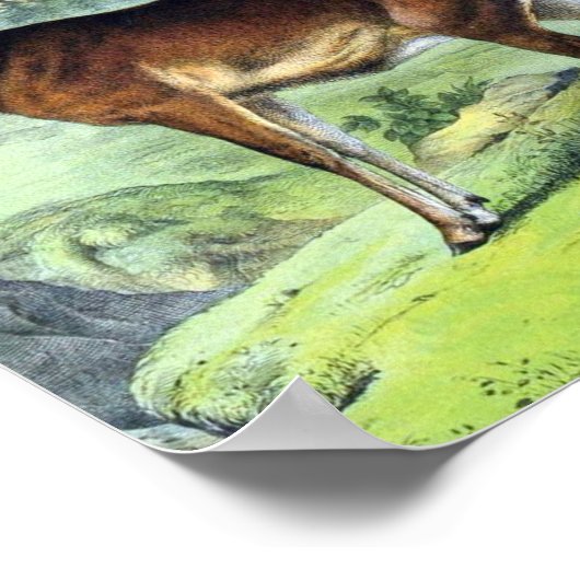 鹿とトナカイ ポスター (角)