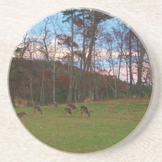 鹿とピンクのサンセットのフィールド コースター (正面)