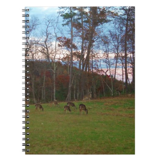 鹿とピンクのサンセットのフィールド ノートブック (正面)