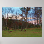 鹿とピンクのサンセットのフィールド ポスター (正面)