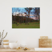 鹿とピンクのサンセットのフィールド ポスター (キッチン)