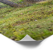 鹿とリス ポスター (角)