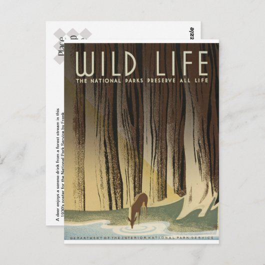 鹿と小川 ポストカード (正面/裏面)