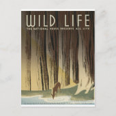 鹿と小川 ポストカード (正面)