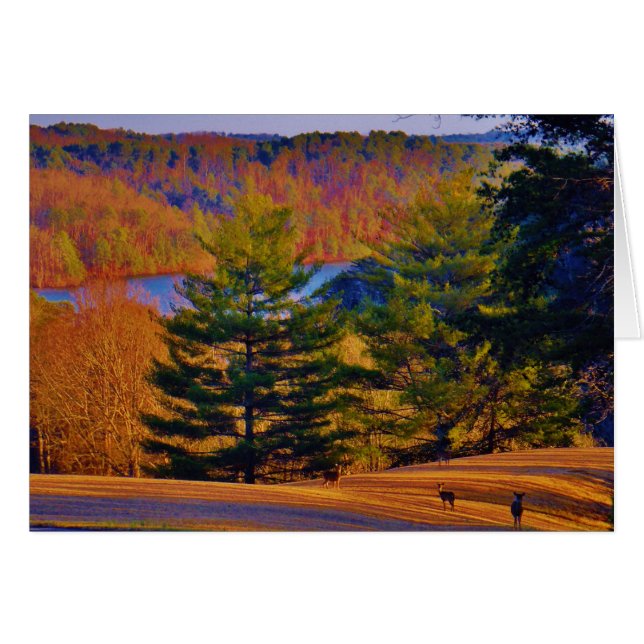 鹿と湖 (正面横)