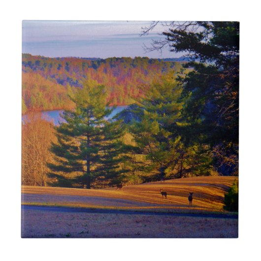 鹿と湖 タイル (正面)