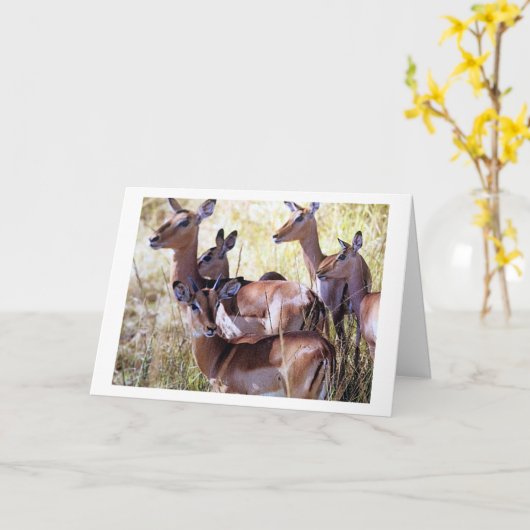 鹿のこのグループがあなたに誕生日願いを送る カード (黄色い花)