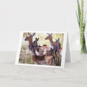 鹿のこのグループがあなたに誕生日願いを送る カード (正面)