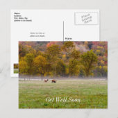 鹿のカップルが元気に回復するように ポストカード (正面/裏面)