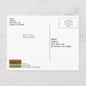 鹿のカップルが元気に回復するように ポストカード (裏面)