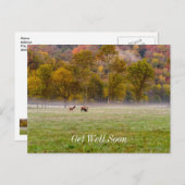 鹿のカップルが元気に回復するポストカード, 早く治りますように ポストカード (正面/裏面)