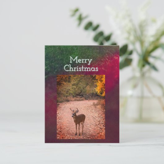 鹿のクリスマスポストカード ポストカード (スタンド正面)