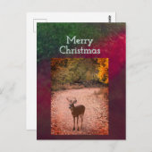 鹿のクリスマスポストカード ポストカード (正面/裏面)