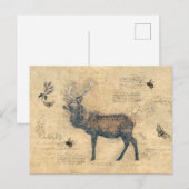 鹿のデコパージュ ヴィンテージ エフェメラ ポストカード (正面/裏面)