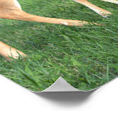 鹿のポスター ポスター (角)