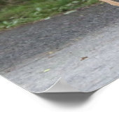 鹿のポスター ポスター (角)