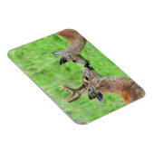 鹿の一匹 マグネット (右側)