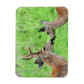 鹿の一匹 マグネット (縦)