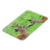 鹿の一匹 マグネット (左側)