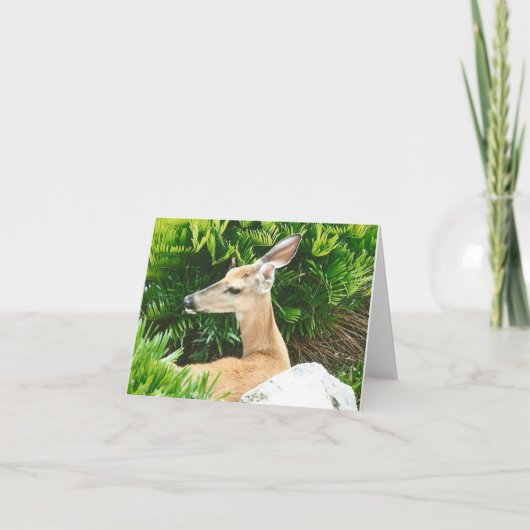 鹿の写真の折り畳みノートカード ノートカード (正面)