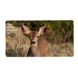 鹿の出荷ラベル ラベル