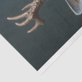 鹿の切り離し与えを楽しめる新しい 薄葉紙 (詳細)