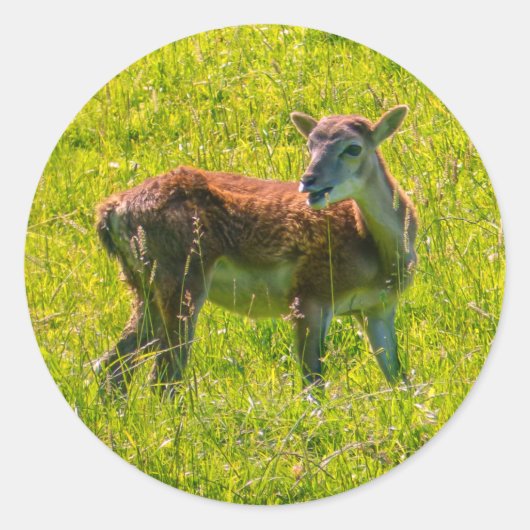 鹿の可愛い動物 ラウンドシール (正面)