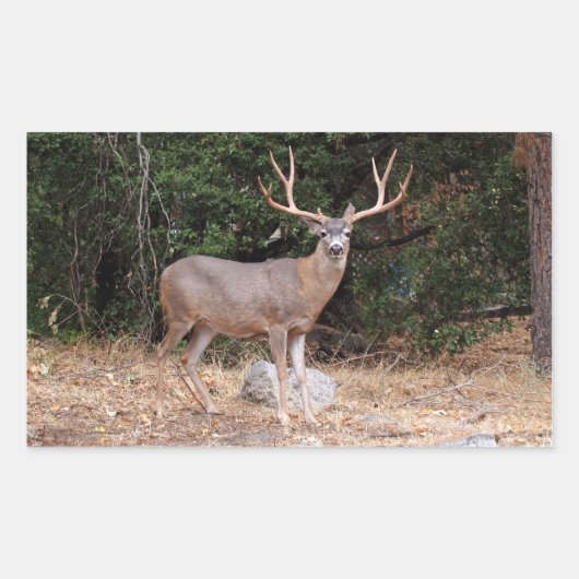 鹿の四角形シール 長方形シール (正面)