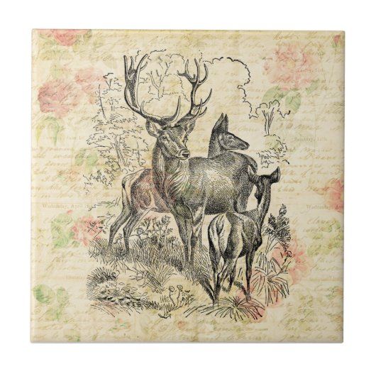 鹿の図解入りの、写真付きのフローラスクリプト タイル (正面)