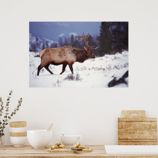 鹿の国 ポスター (キッチン)