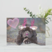 鹿の子犬バレンタイン シーズンカード (スタンド正面)