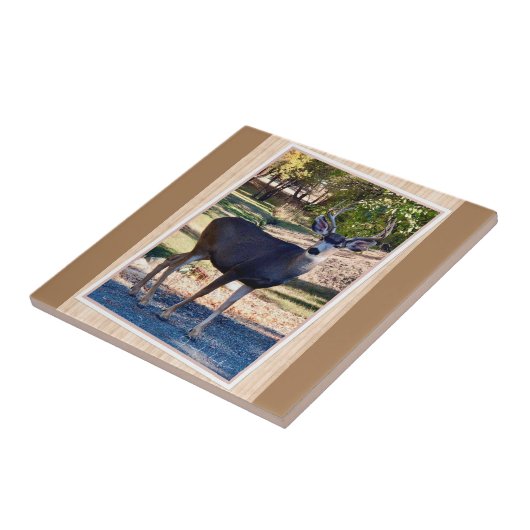 鹿の愛 タイル (側面)