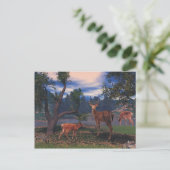 鹿の採集 ポストカード (スタンド正面)