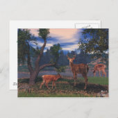 鹿の採集 ポストカード (正面/裏面)