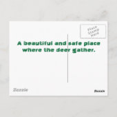 鹿の採集 ポストカード (裏面)