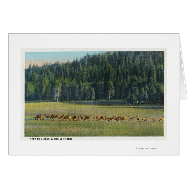 鹿の放牧のパックの表示 (正面横)