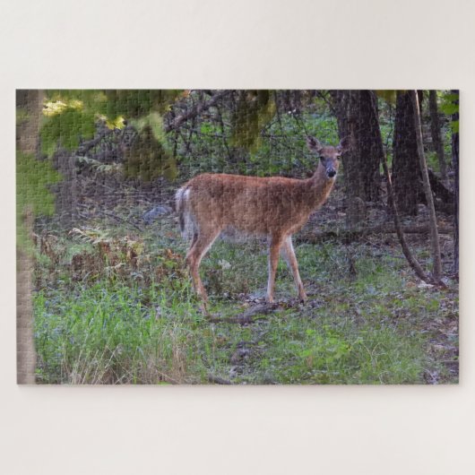 鹿の歩くザフォレスト ジグソーパズル (横)